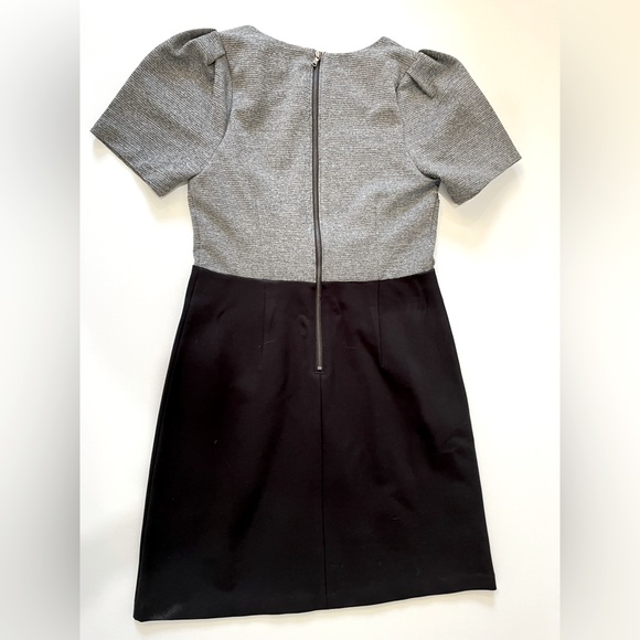 Grey & black Loft stretch dress with pleated shoulders. - Picture 2 of 4